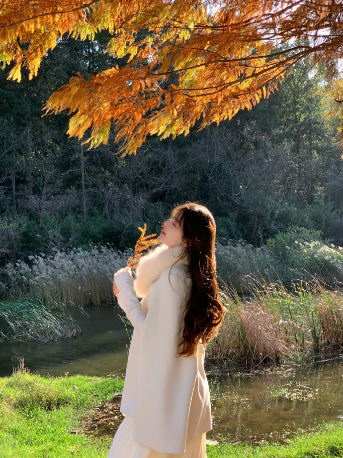 AI女同黑料网-片段精选·场景转折封面
